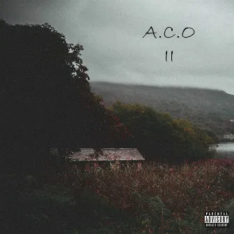 A.C.O II by ACO