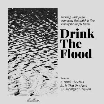 Drink The Flood by Arnheim