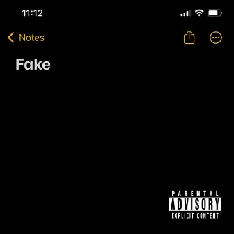 Fake by PlayWryte