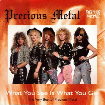 What You See Is What You Get: The Very Best of Precious Metal by Precious Metal