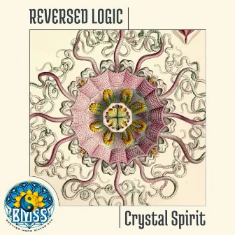 Crystal Spirit by Reversed Logic