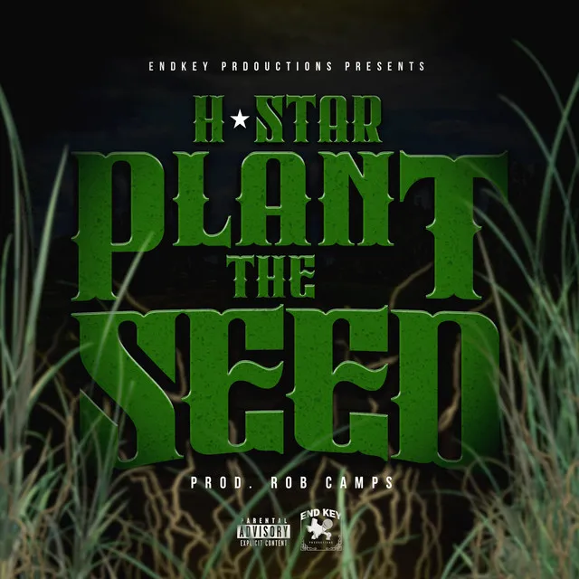 Plant The Seed