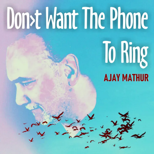 Don't Want The Phone To Ring - Radio Edit