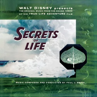 Walt Disney Presents The Original Music from the Sound Track of his True-Life Adventure Film 