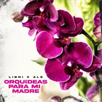 Orquídeas para Mi Madre by ALS