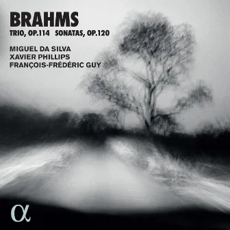 Brahms: Trio, Op. 114 & Sonatas, Op. 120 by Miguel Da Silva