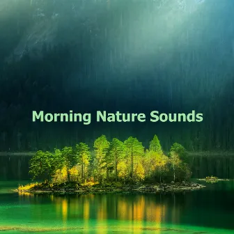 Morning Nature Sounds by Nature Scenario Sounds