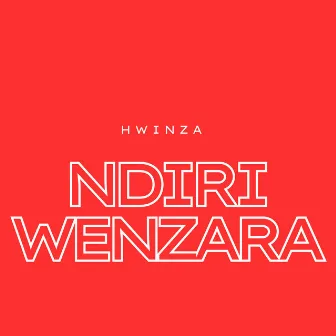 Ndiri Wenzara by Hwinza