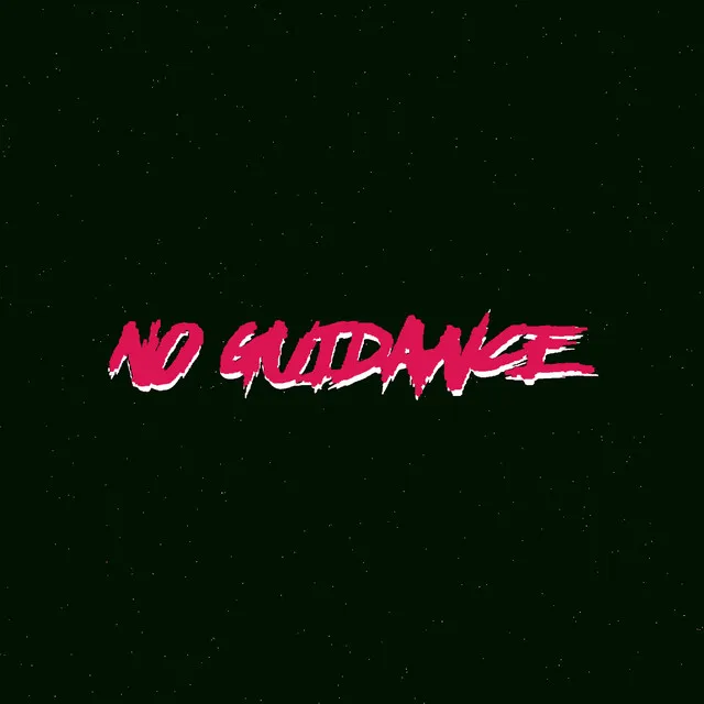 No Guidance