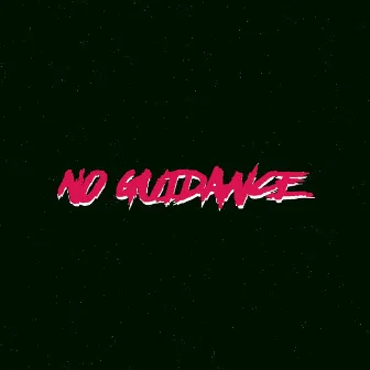 No Guidance by Barla