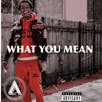 WHAT YOU MEAN by Lil Kemo