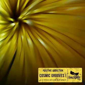 Cosmic Grooves I by Positive Addiction