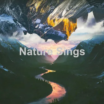 Nature Sings by Bird Sounds 2016