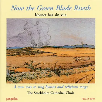 Now the Green Blade Riseth by Stockholm Cathedral Choir