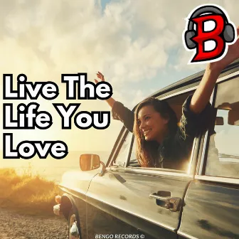 Live The Life You Love by Borganism