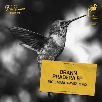 Pradera by Brann (AR)