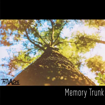 Memory Trunk by HiVACHi