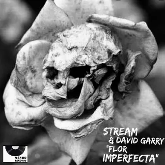 Flor Imperfecta by Stream