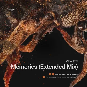 Memories (Extended Mix) by Saiful Idris