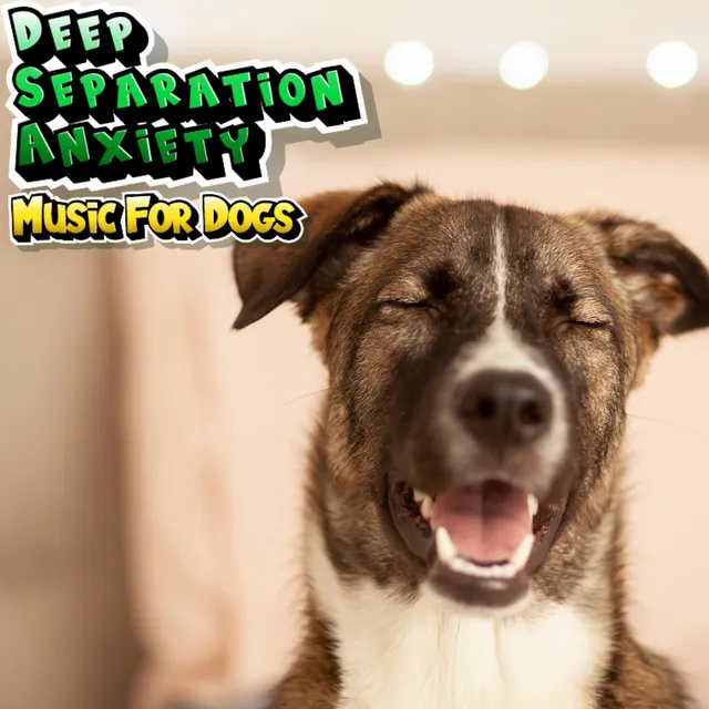 Dog Music