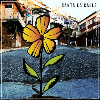 Canta la Calle by Pangikurü