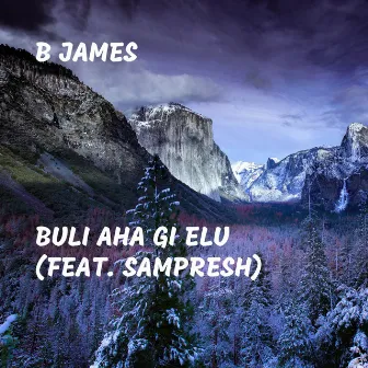 Buli Aha Gi Elu by B James