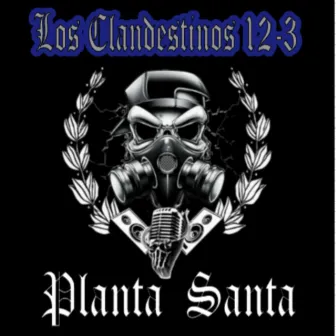 Planta Santa by Los Clandestinos 12-3