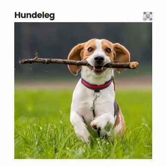 Hundeleg by Hunde Musik