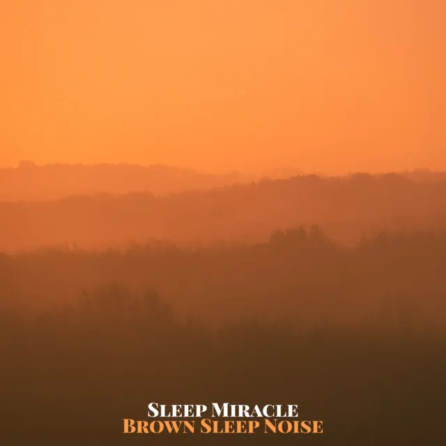 Sleep Miracle