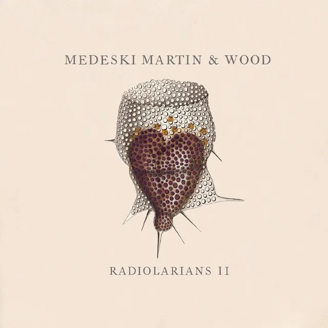 Radiolarians II