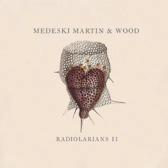 Radiolarians II by Medeski, Martin & Wood