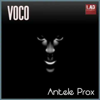 Voco by Antele Prox.