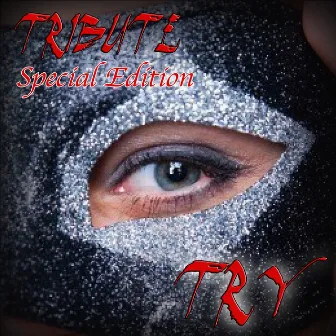 Try (Tribute to Pink Special Edition) by The Dream Team