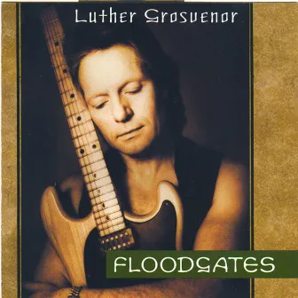 Floodgates by Luther Grosvenor