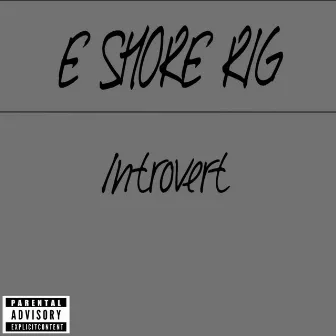 Introvert by E Shore Rig