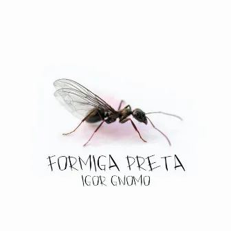 Formiga Preta by Igor Gnomo