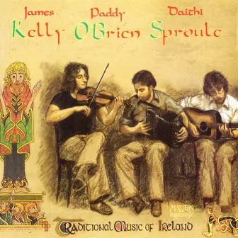 Traditional Music Of Ireland by Daithi Sproule