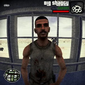 In The Hood by Big Shaggy