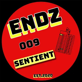 Linear / Formless One (ENDZ009) by Sentient