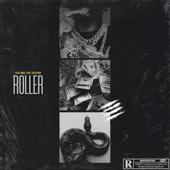 Roller by Octavian