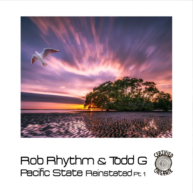 Pacific State Reinstated Pt.1 - Todd G's Reconstruction Mix