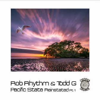 Pacific State Reinstated Pt.1 by Rob Rhythm