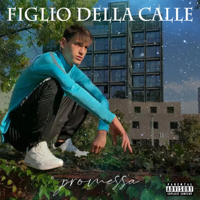 Figlio della Calle