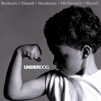 Underdog by Audio Adrenaline