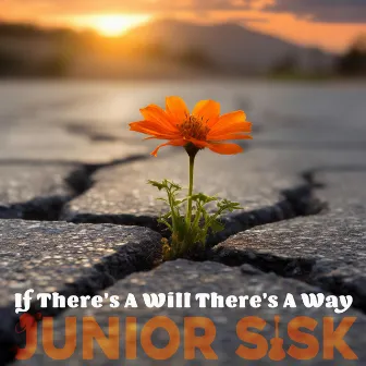 If There's a Will There's a Way by Junior Sisk