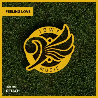 Feeling Love by Dj Detach