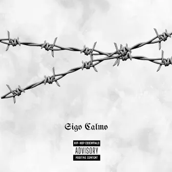 Sigo Calmo by Delux Mc