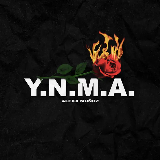 Y.N.M.A