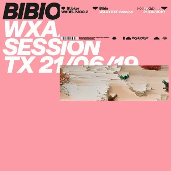 WXAXRXP Session by Bibio