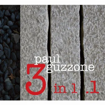 3 in 1.1 by Paul Guzzone